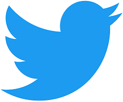 OLD TWITTER ACCOUNT WITH 500 FOLLOWERS